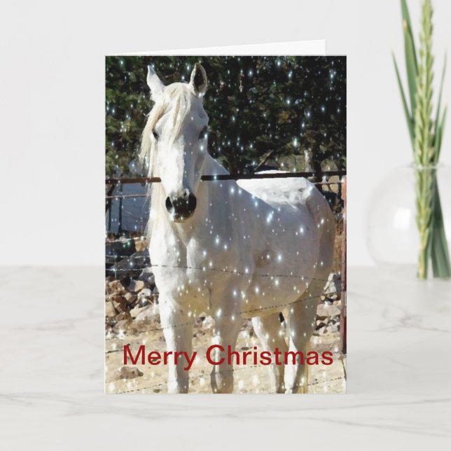 Arabian Horse Christmas Card (Front)