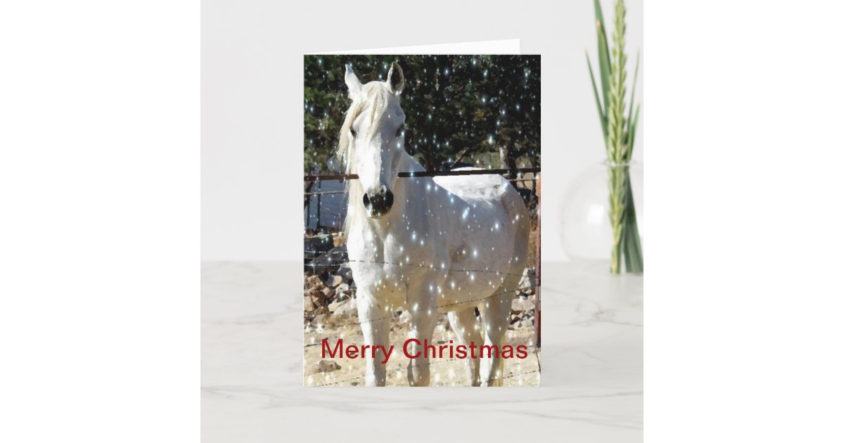 Arabian Horse Christmas Card Zazzle