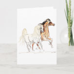 Arabian Horse Greeting Card at Zazzle