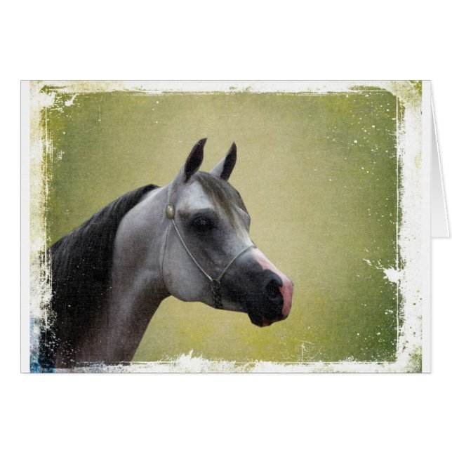 Arabian Horse Grunge Cards (Front Horizontal)