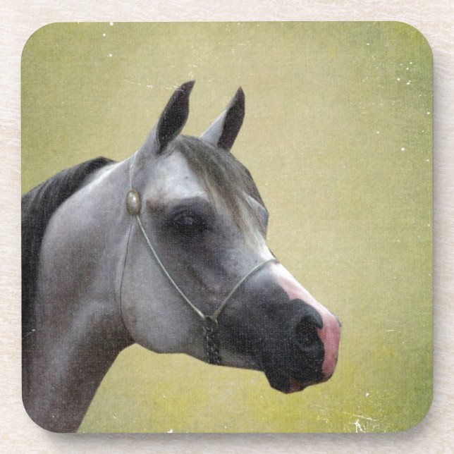 Arabian Horse Grunge Coaster (Front)