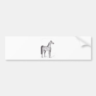 Arabian Horse in Pencil Bumper Sticker