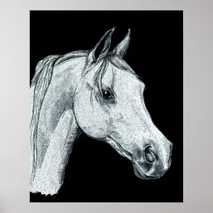 Arabian Horse Ink Sketch Poster