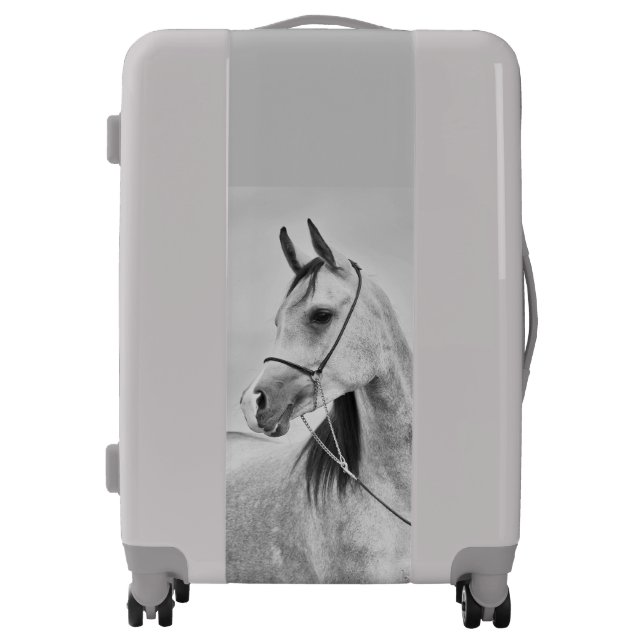 arabian horse luggage (Front)