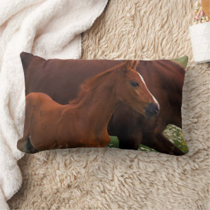 Arabian Horse Near Mother Lumbar Pillow