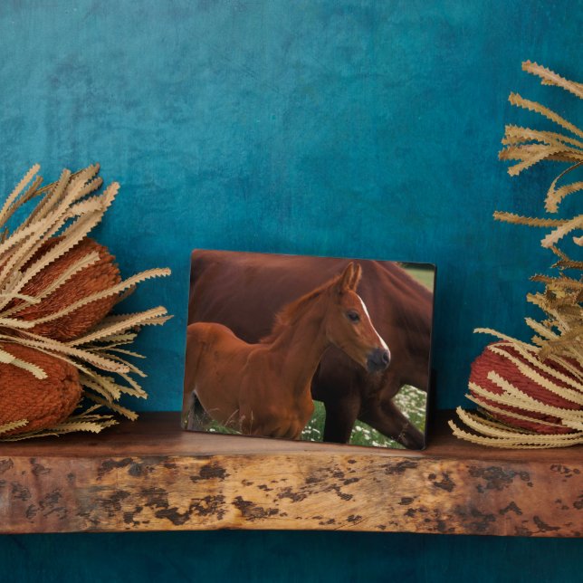 Arabian Horse Near Mother Plaque (Side)