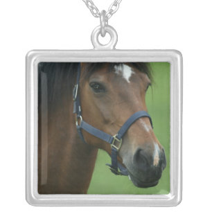 Arabian Horse Necklace