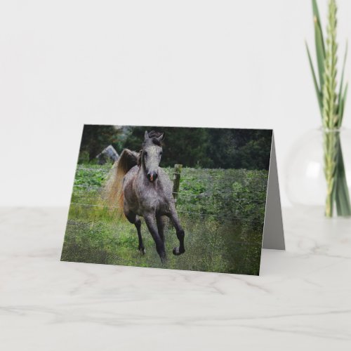 Arabian Horse Note Card