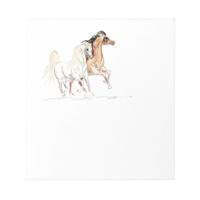 Arabian Horse Notepad (Front)