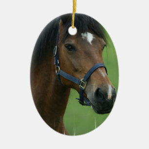 Arabian Horse Ornament