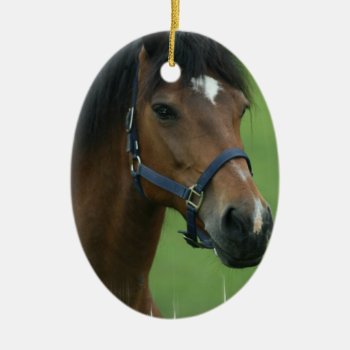 Arabian Horse Ornament by HorseStall at Zazzle