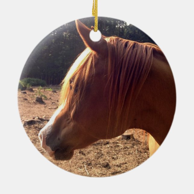 Arabian Horse Ornament (Back)