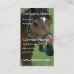 Arabian Horse Pictures Business Card