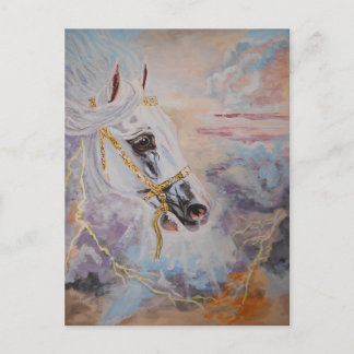 Arabian Horse Postcard