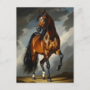Arabian horse postcard