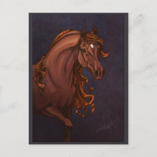 Arabian Horse Postcard