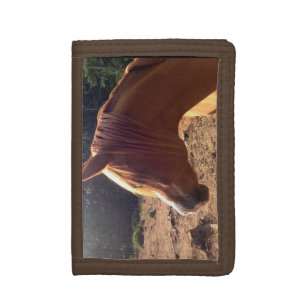 Arabian Horse Wallet