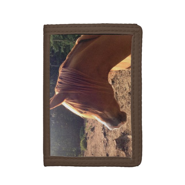 Arabian Horse Wallet (Front Vertical)