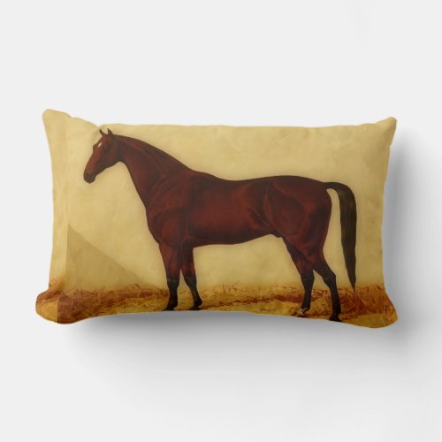 Arabian horse with chestnut coat  lumbar pillow