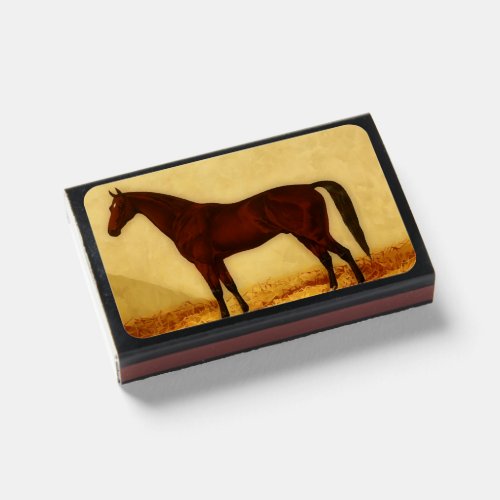 Arabian horse with chestnut coat  matchboxes