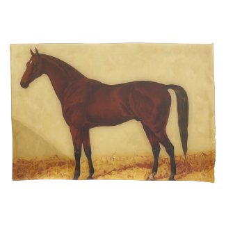 Arabian horse with chestnut coat pillow case