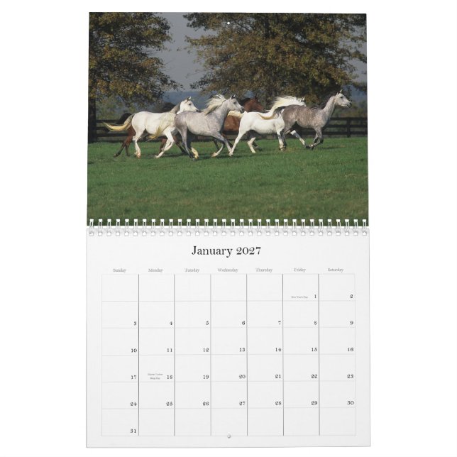 Arabian Horses Calendar (Jan 2027)