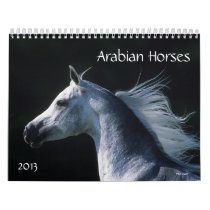Arabian Horses Calendar
