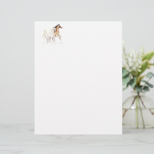 Arabian Horses Letterhead Paper (Standing Front)