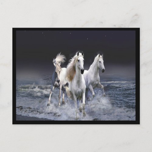 Arabian horses running along the ocean postcard