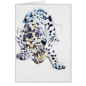 Arabian Leopard 2008  5 (Front)