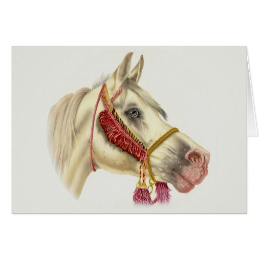 Arabian Stallion (Front Horizontal)