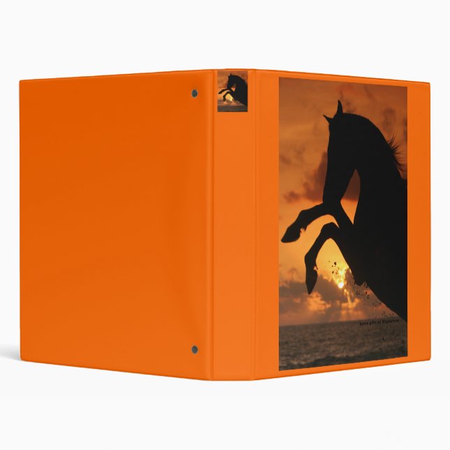 Arabian stallion in the sunset binder (Background)