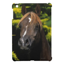 Arabian Stallion iPad Mini Cover