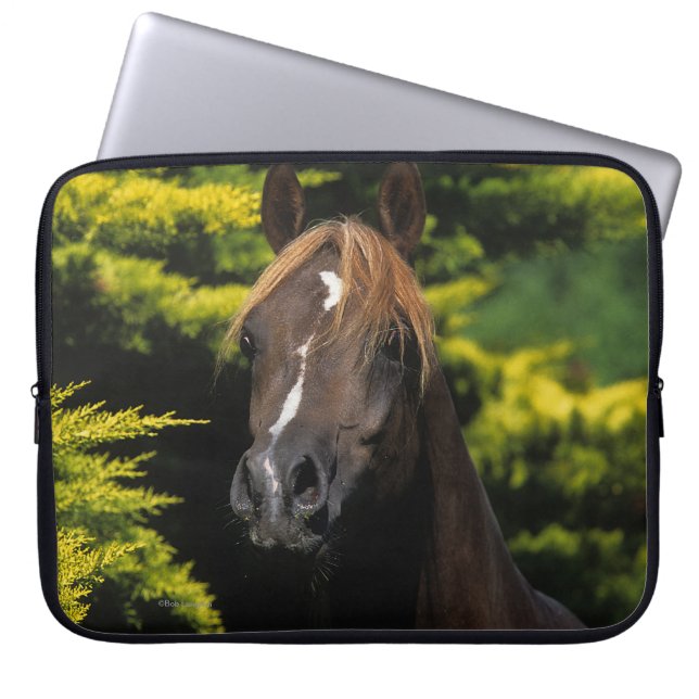 Arabian Stallion Laptop Sleeve (Front)