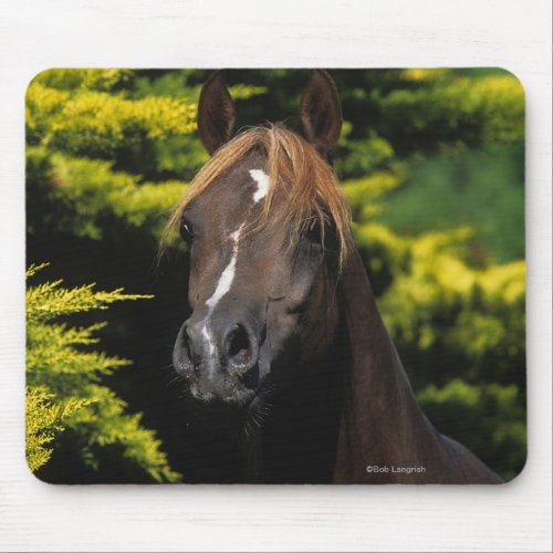 Arabian Stallion Mouse Pad