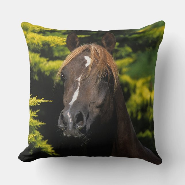 Arabian Stallion Throw Pillow (Front)