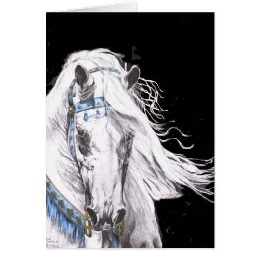 "Arabian White" (Front)