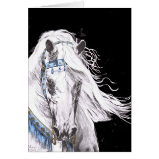 "Arabian White" Cards