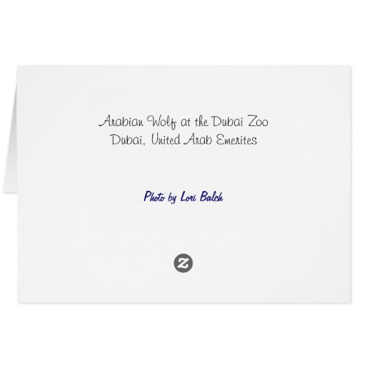 Arabian Wolf Cards (Back Horizontal)