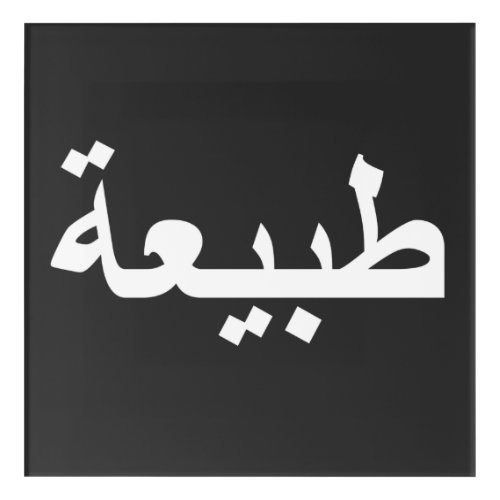 arabic calligraphy writing text arab lettering acrylic print