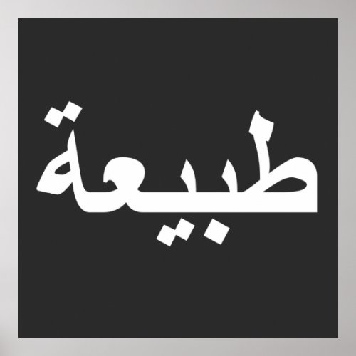 arabic calligraphy writing text arab lettering poster