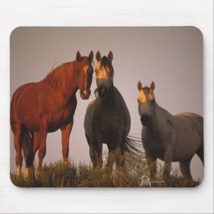 Arabs at Sunset Mouse Pad