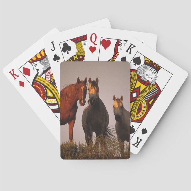 Arabs at Sunset Poker Cards (Back)