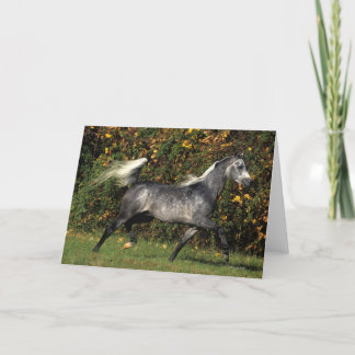 Arabs Running: Autumn Card