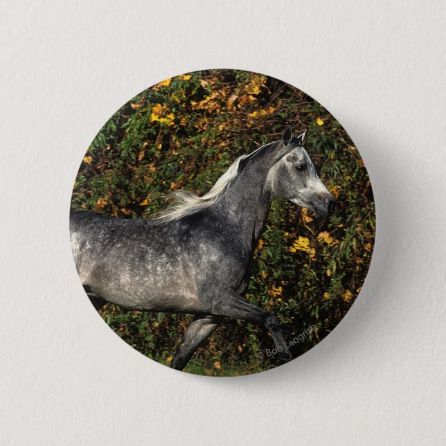 Arabs Running: Autumn Pinback Button (Front)