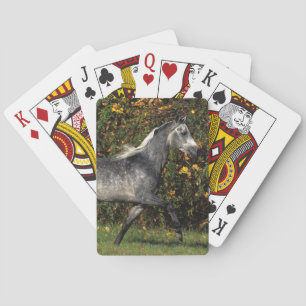 Arabs Running: Autumn Poker Cards