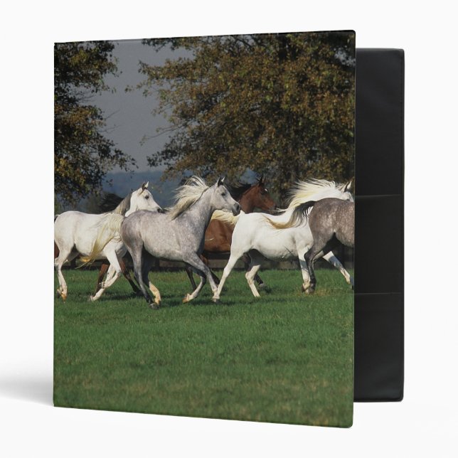 Arabs Running in Field Binder (Front/Inside)