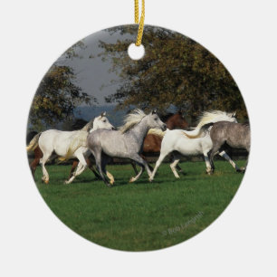 Arabs Running in Field Ceramic Ornament