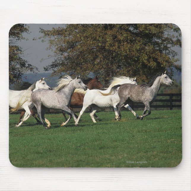 Arabs Running in Field Mouse Pad (Front)
