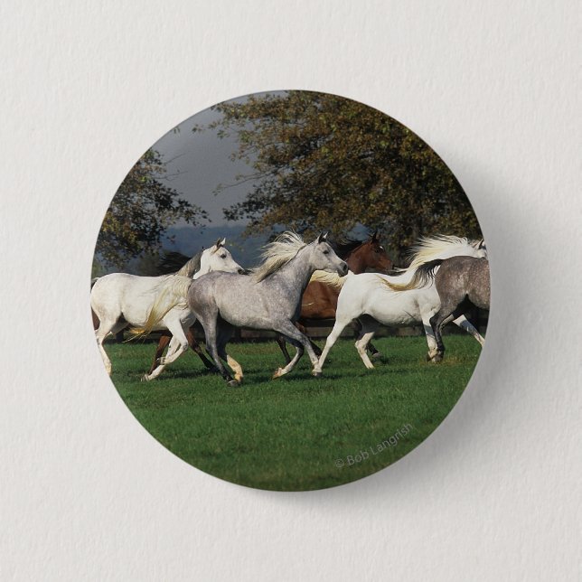 Arabs Running in Field Pinback Button (Front)